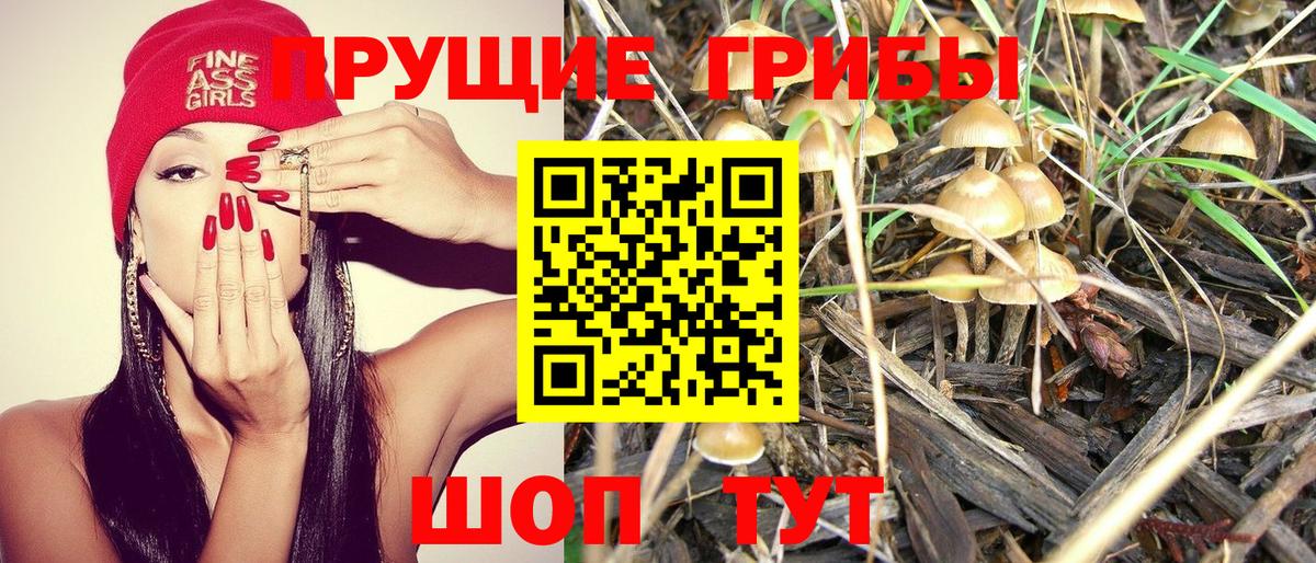 Кашира  Псилоцибиновые грибы мухоморы  Вход с VPN 