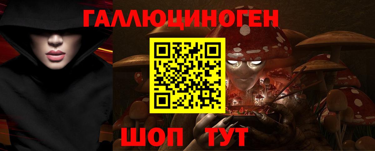 Псилоцибиновые грибы мицелий Кашира